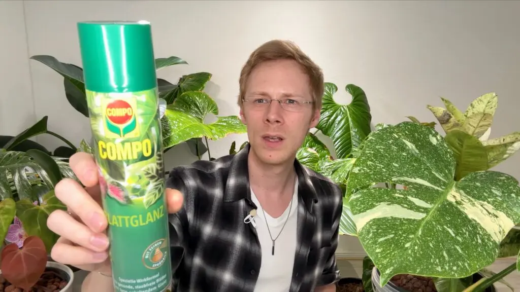 Blattglanzspray
