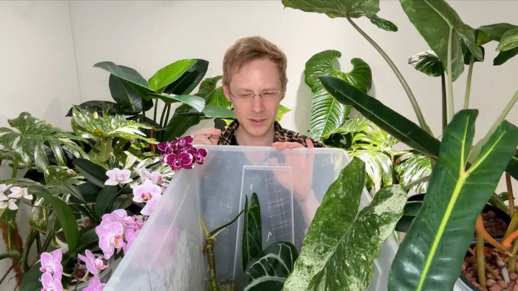 Semi-Hydro Fehler