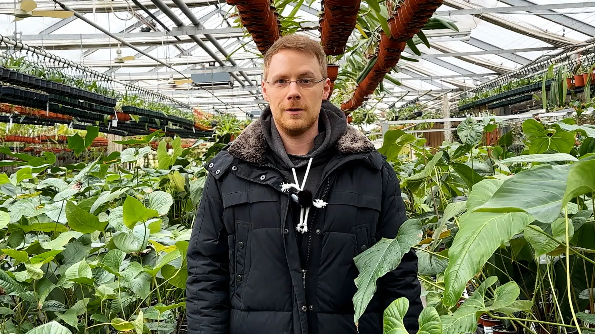 Leafy Sanctuary bei Ecuagenera Europe