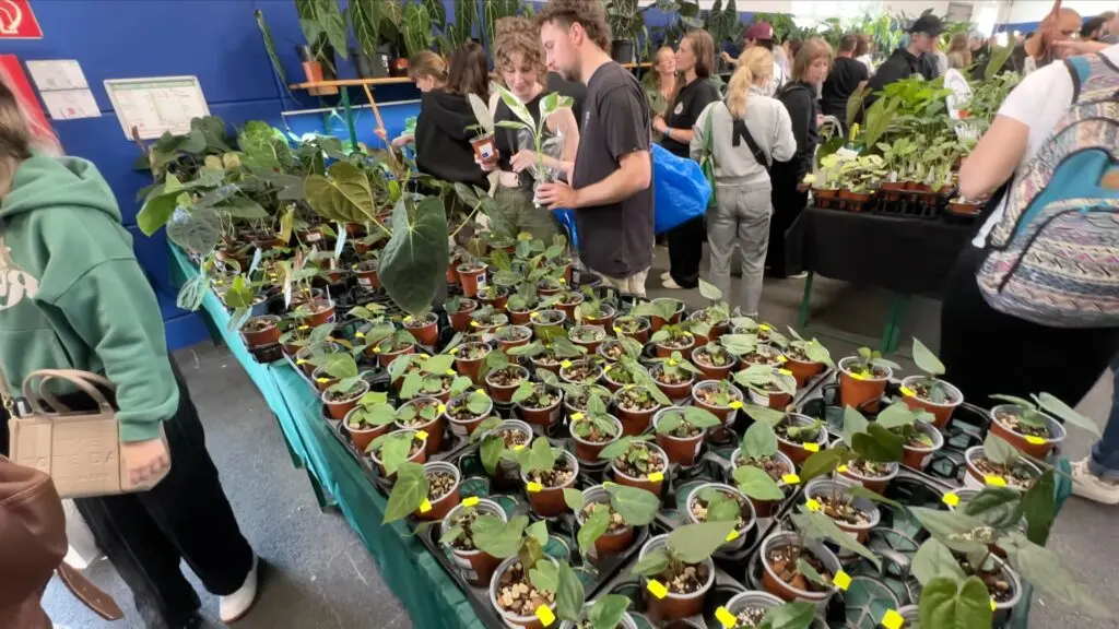 MYBOTANIKA in Hamm