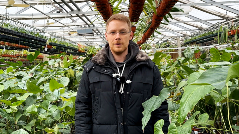 Leafy Sanctuary bei Ecuagenera Europe