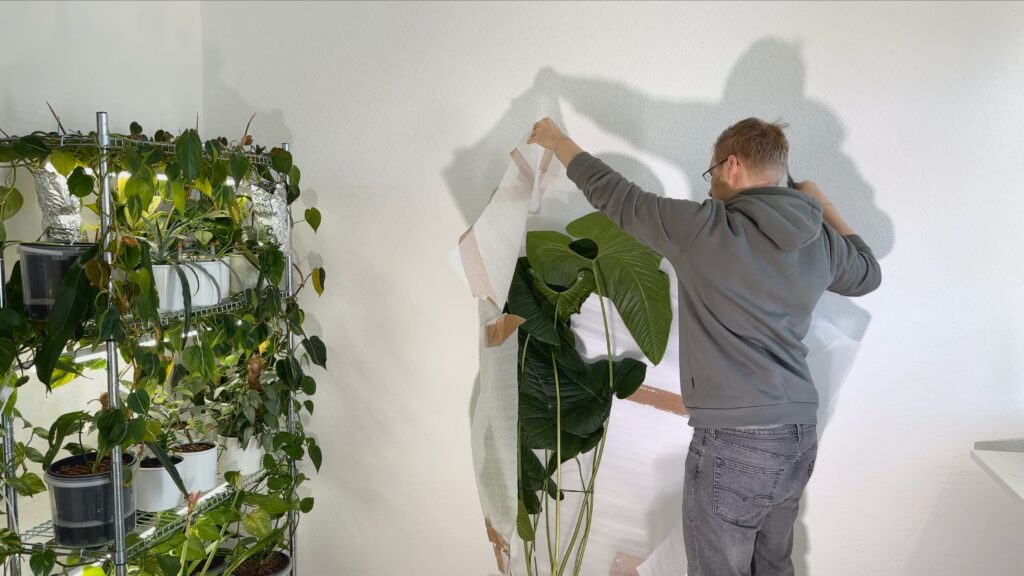 Leafy Sanctuary bei Ecuagenera Europe