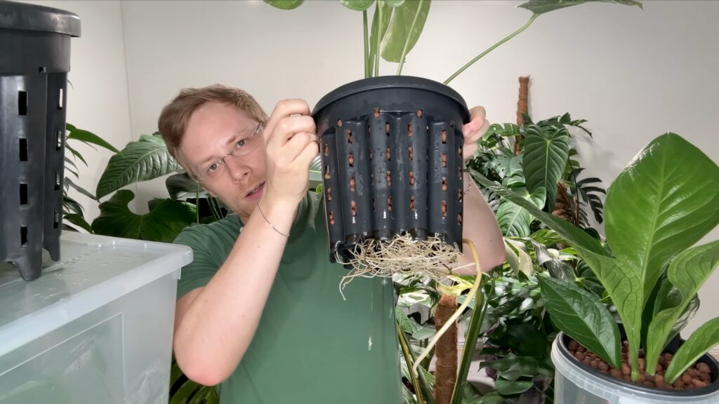 Töpfe für Semi-Hydrokultur