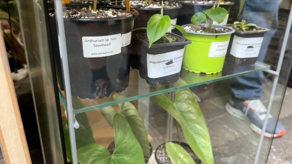 MYBOTANIKA in Hamm