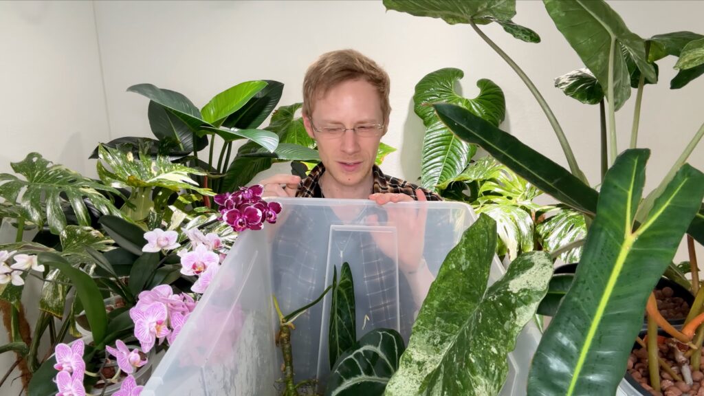 Semi-Hydro Fehler