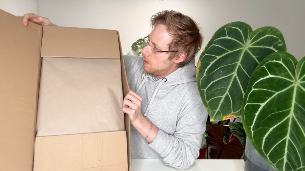 Jungle Leaves Paket
