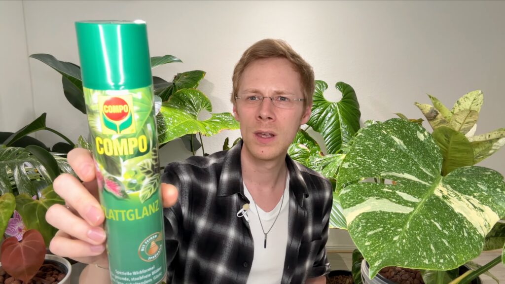Blattglanzspray